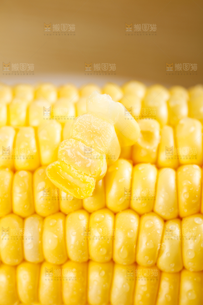 浅底上的黄玉米