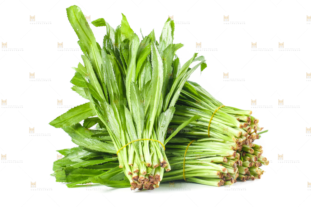 白底上的大香菜