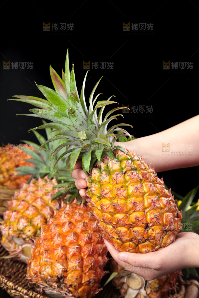 篮子里装着海南金钻凤梨