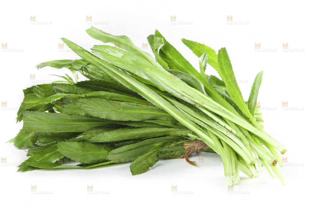 白底上的云南新鲜大香菜