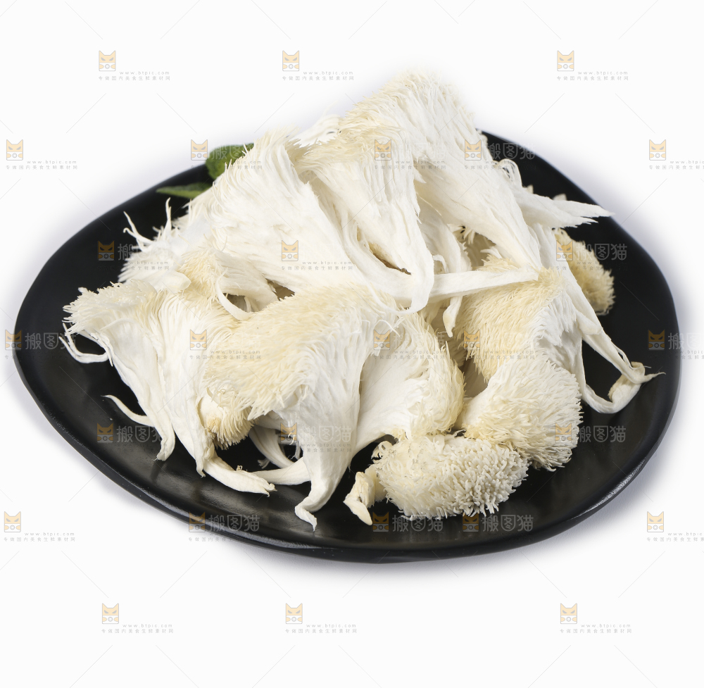 白底上放着东北山猴头菇