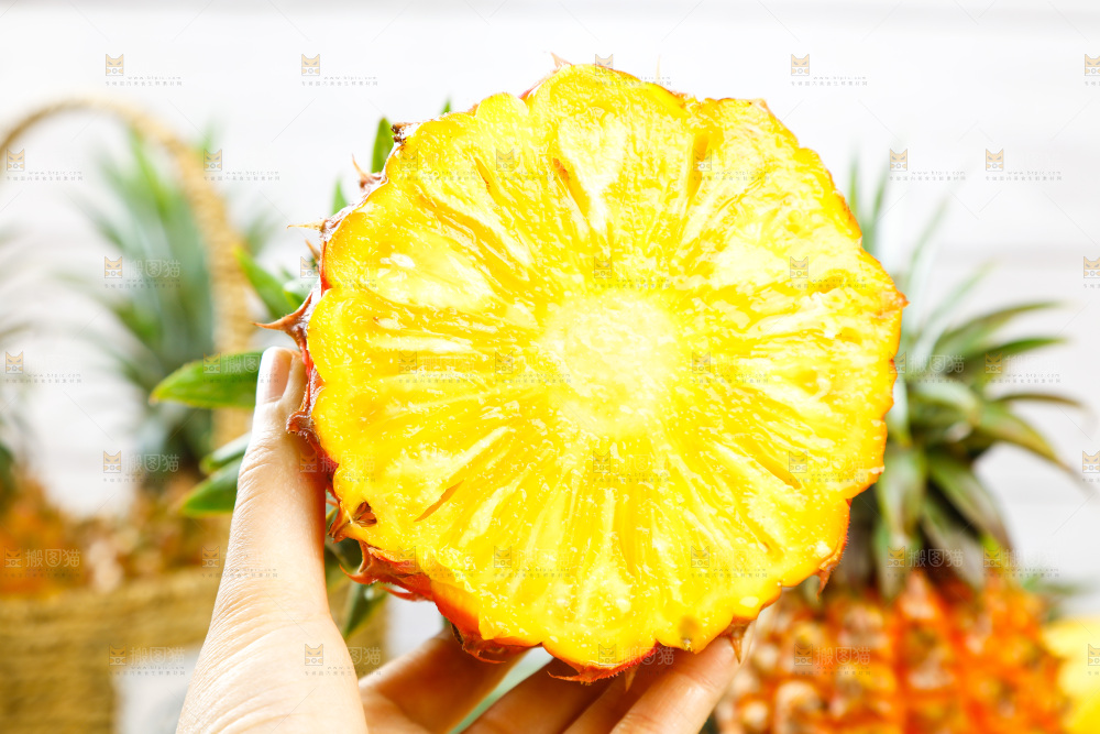 金钻凤梨