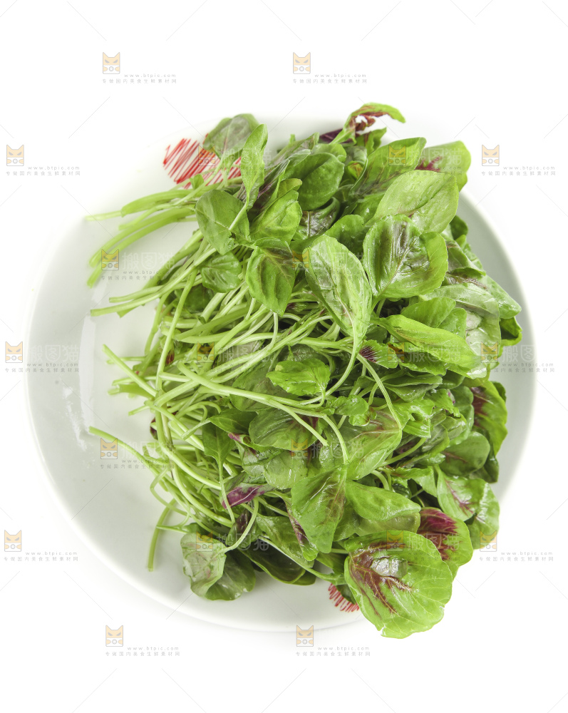 白底上放着一盘红苋菜