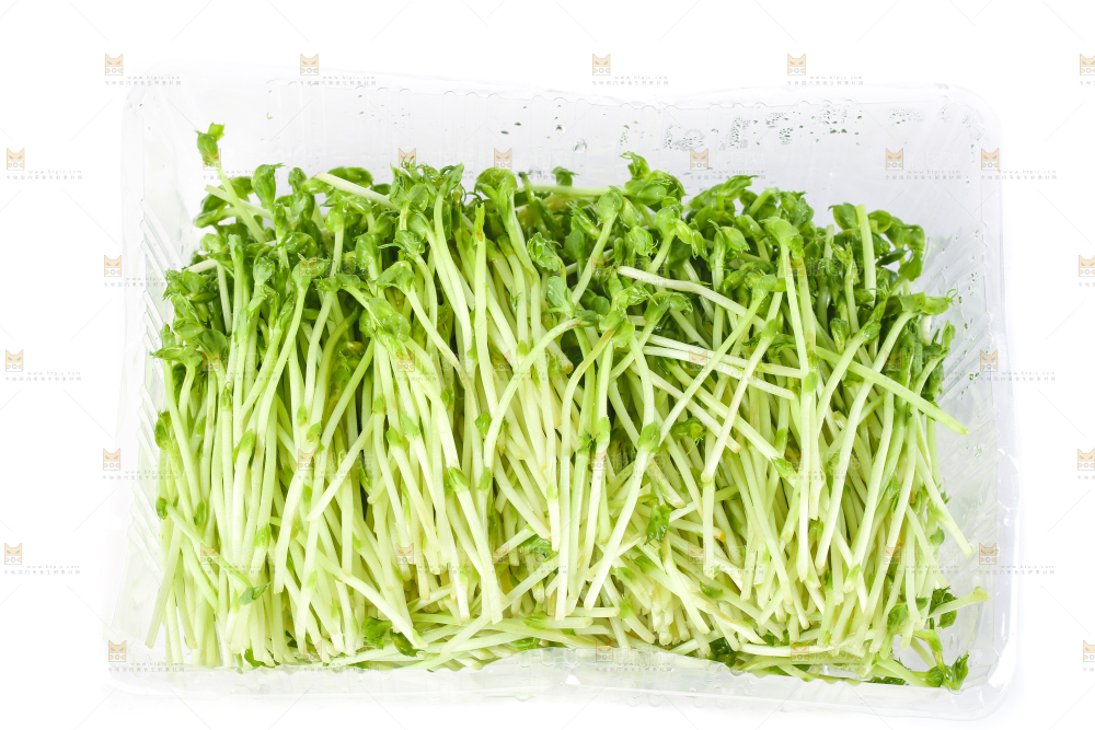 盘子里装着新鲜豌豆芽