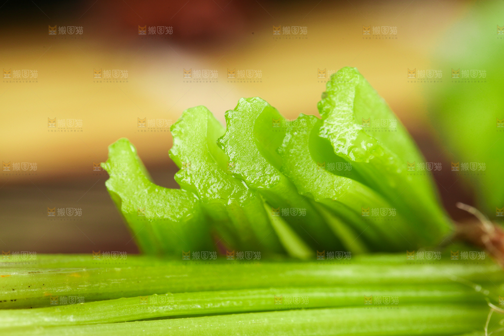 深底上的新鲜小香芹