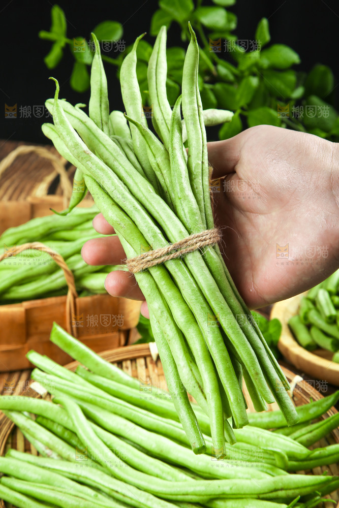 手拿四季豆