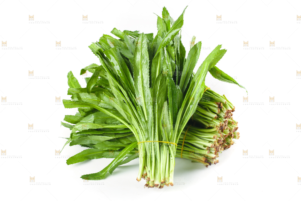 白底上的大香菜