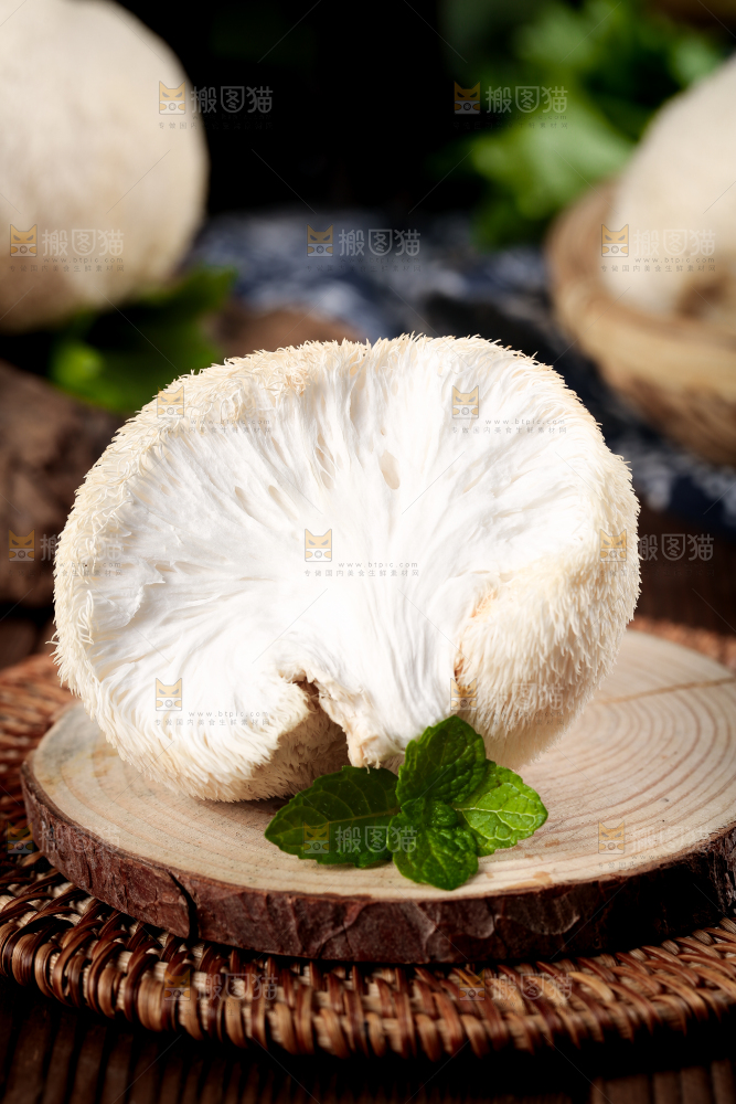竹底上的云南新鲜猴头菇