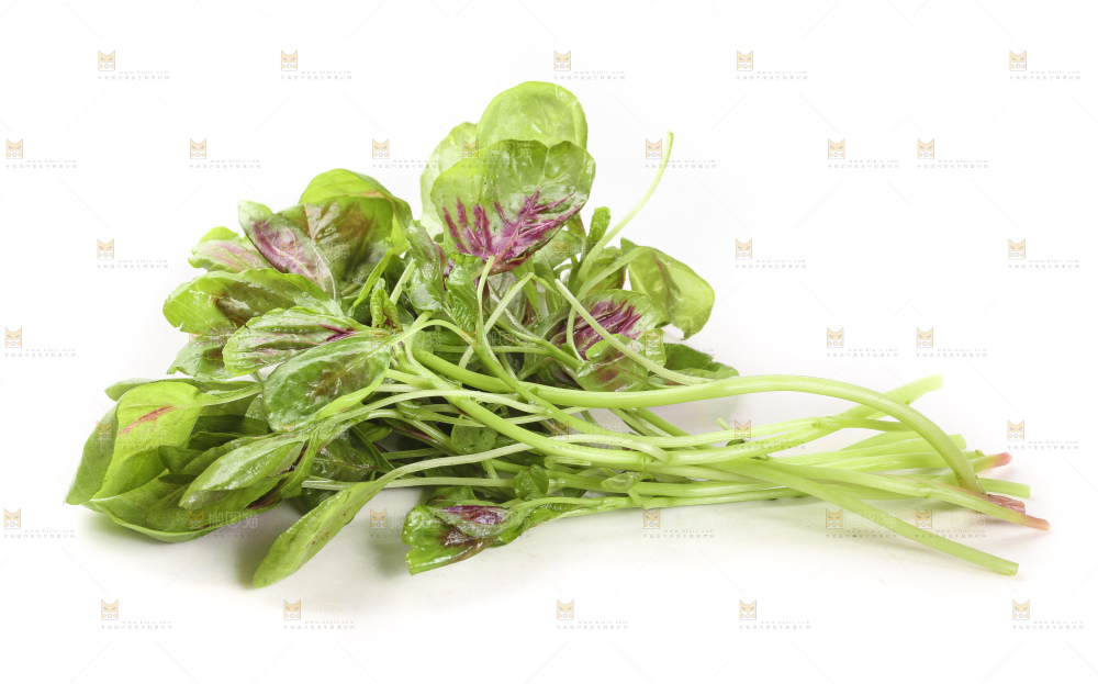 白底上的农家苋菜