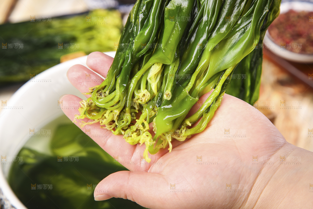 手里拿着小海带芽