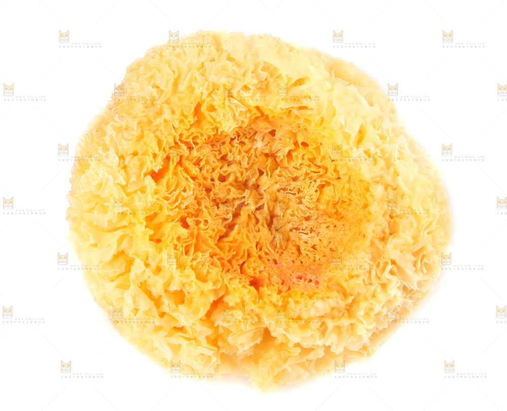 白底上放着雪银耳