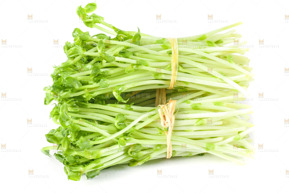 白底上放着豌豆芽菜