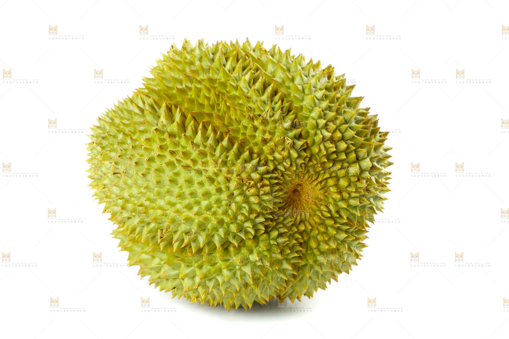 白底上的新鲜榴莲