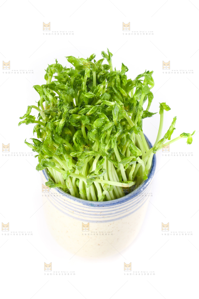 白底上放着豌豆芽菜