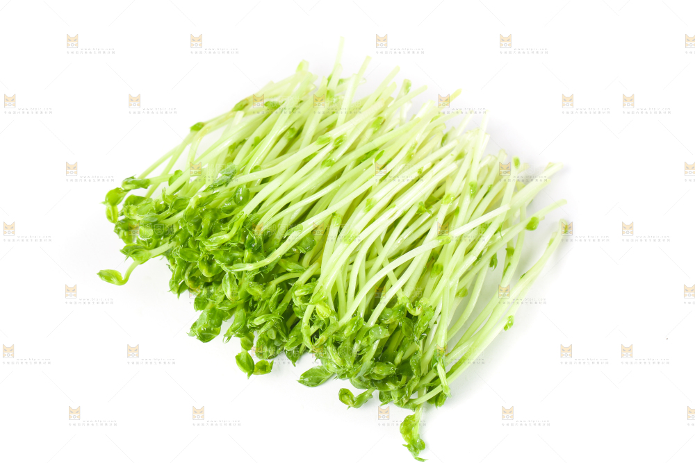 白底上放着豌豆芽菜