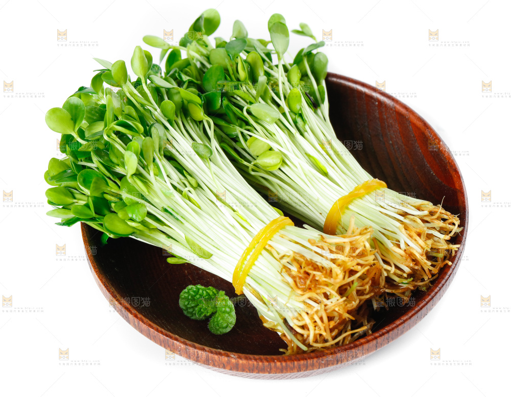 一碗香椿芽放在白底上