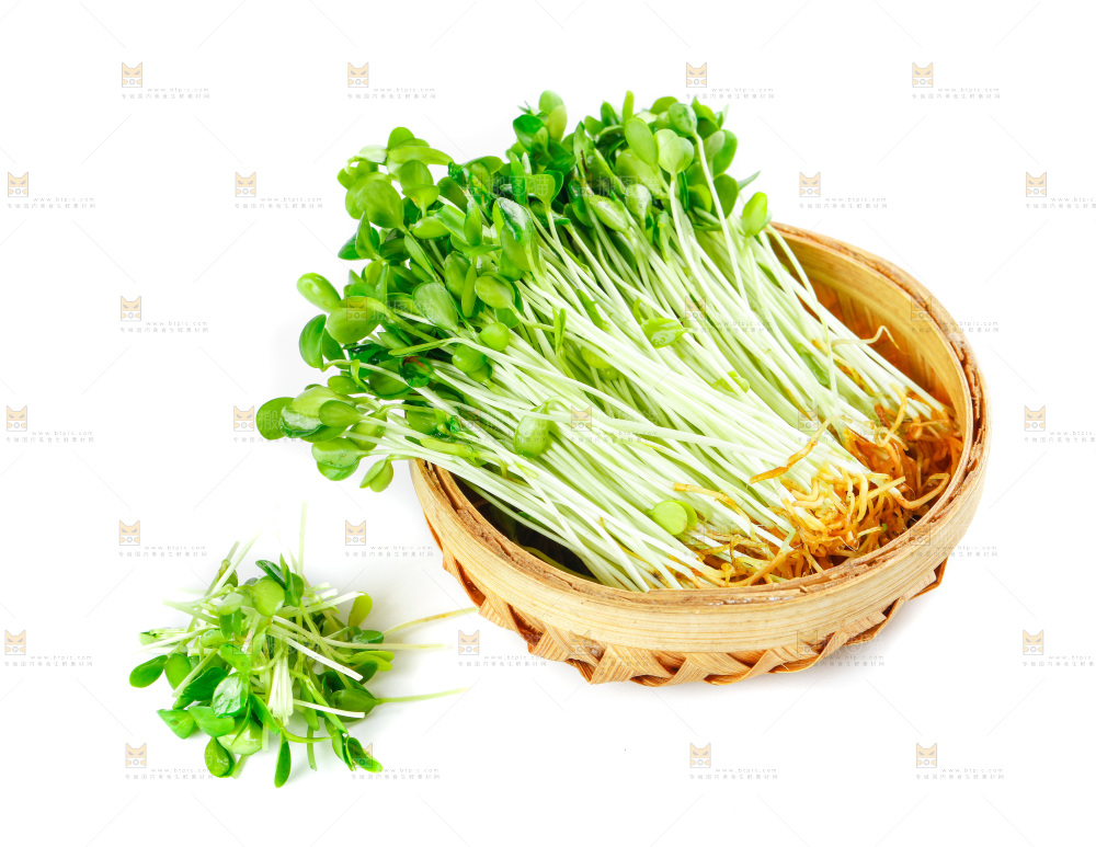 白底上放着一筐香椿苗