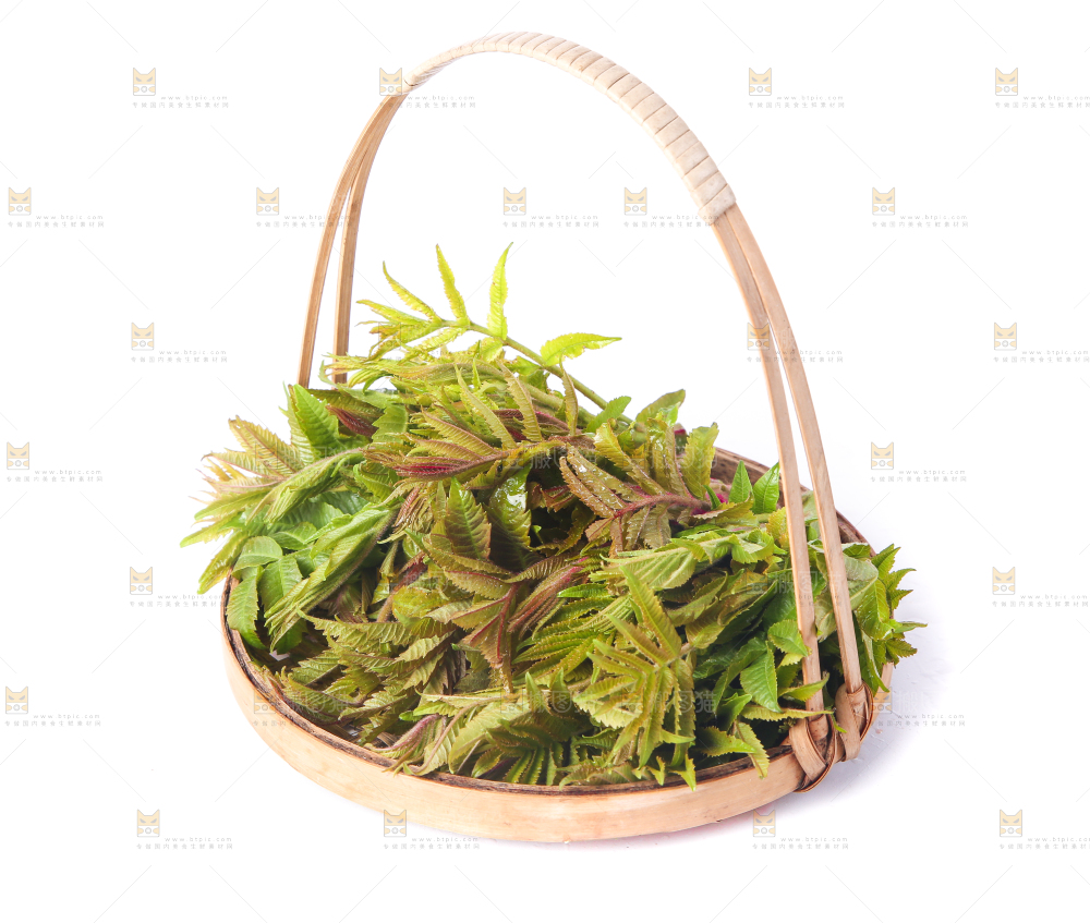 白底上放着一篮香椿芽