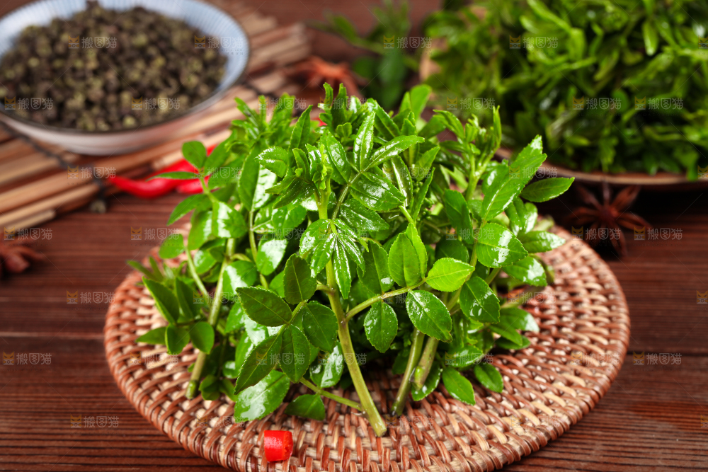 木底上的麻香花椒芽