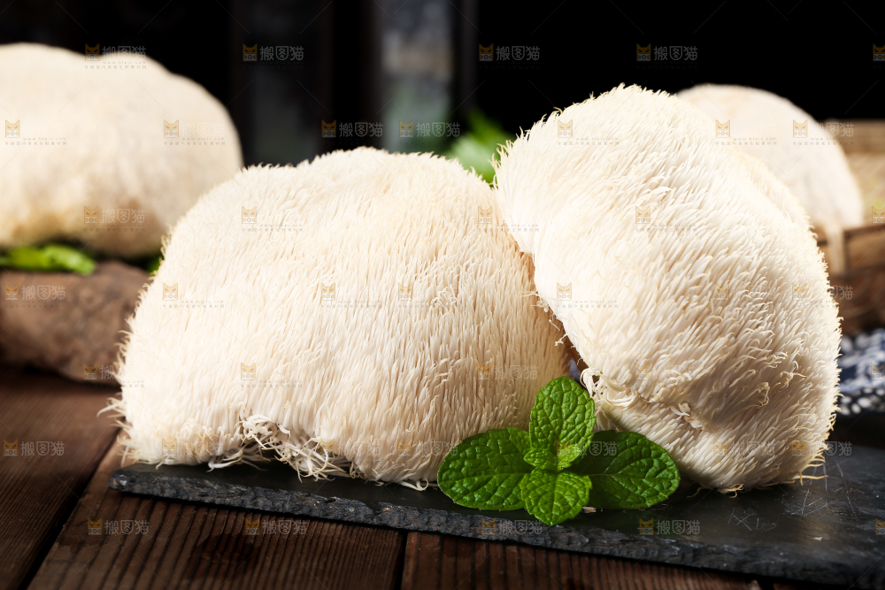 黑石板上的东北猴头菇