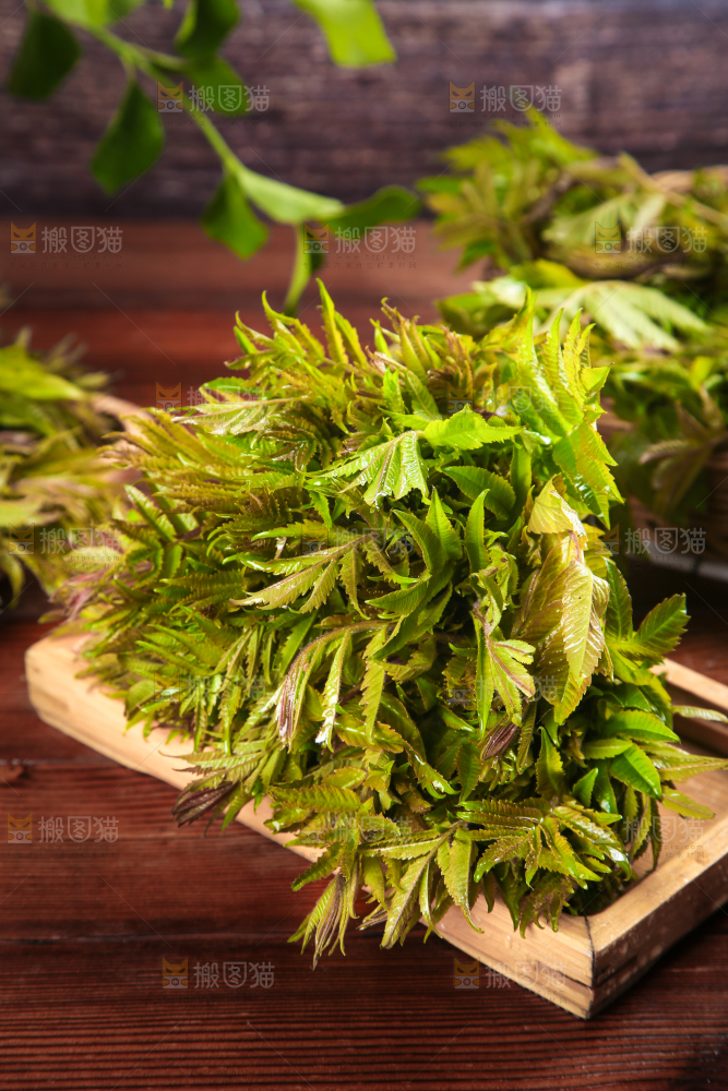 木底上放着一盘香椿芽