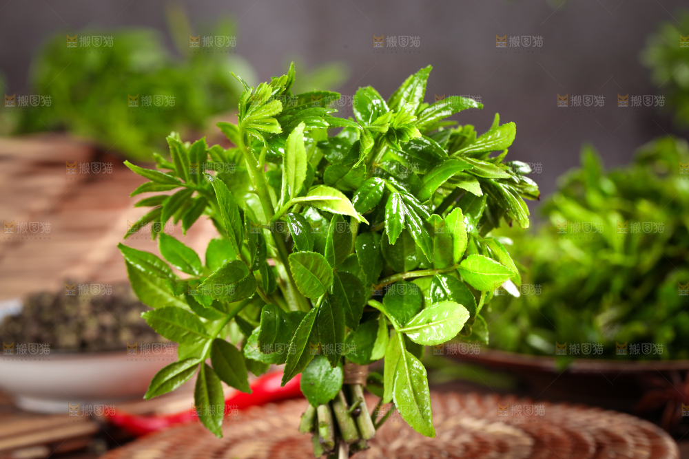 木底上的麻香花椒芽