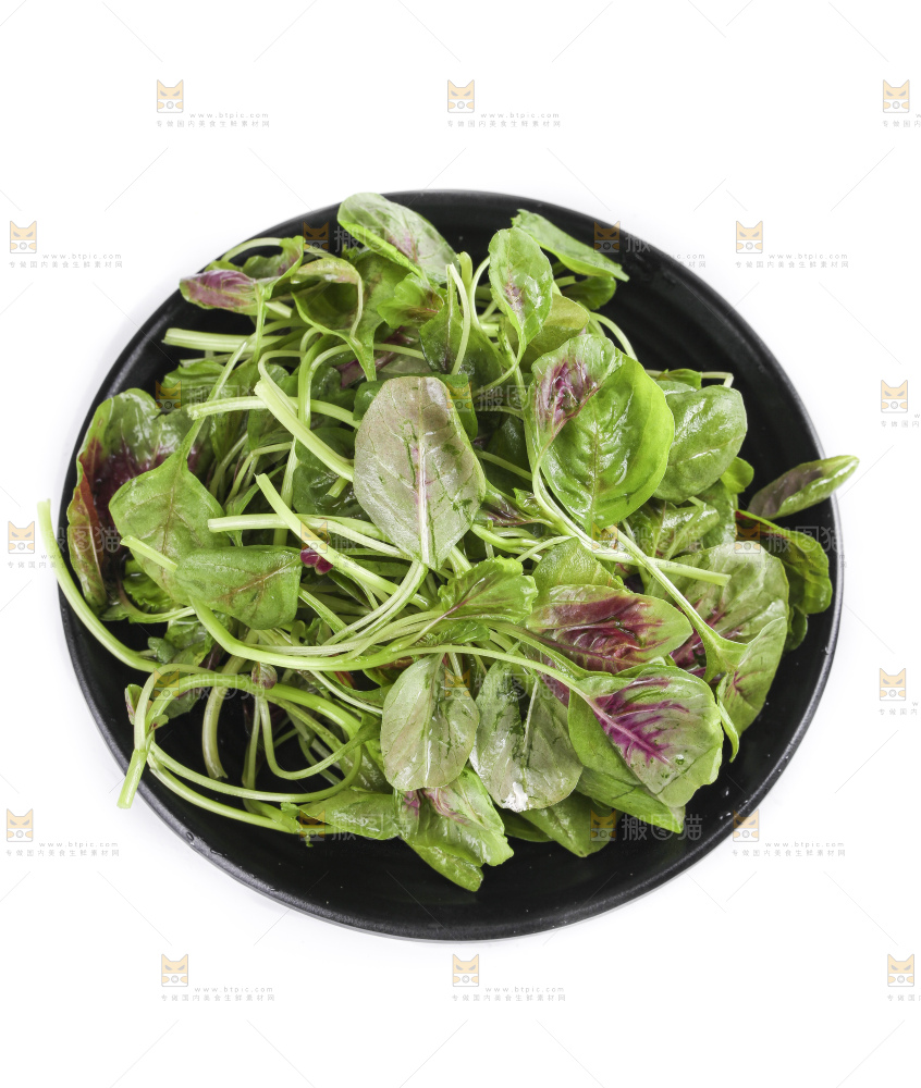 一盘农家苋菜放在白底上