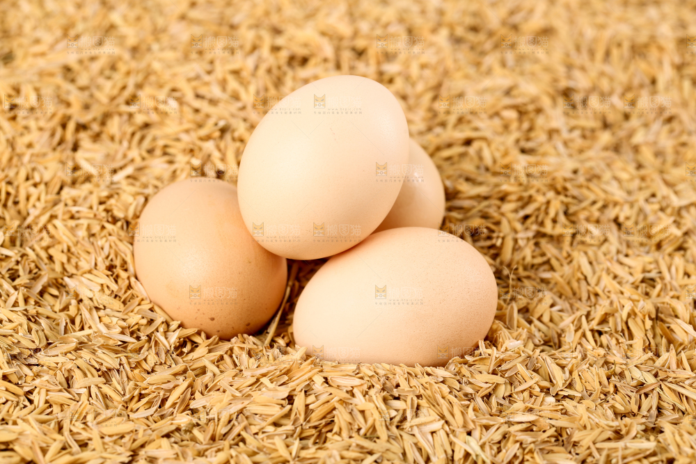 谷壳上放着土鸡蛋