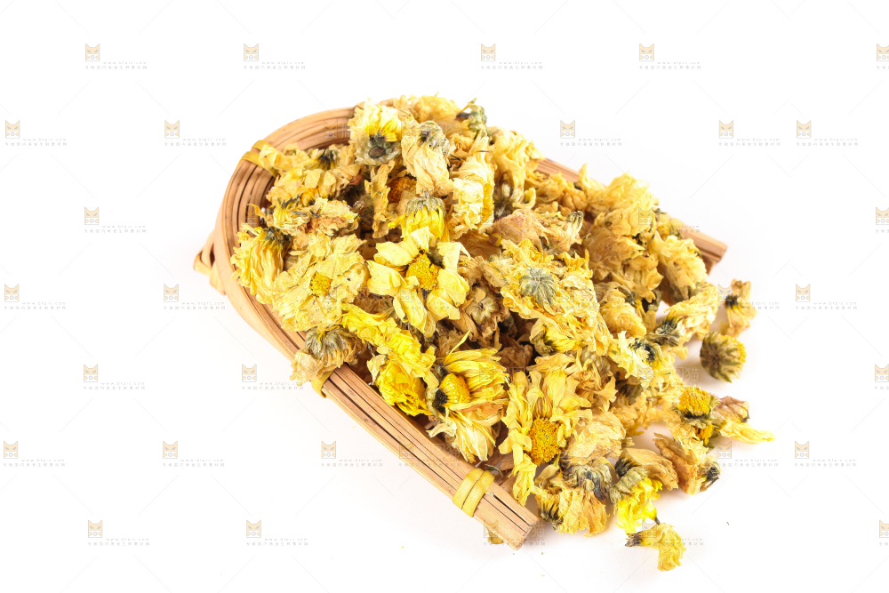 白底上的干菊花