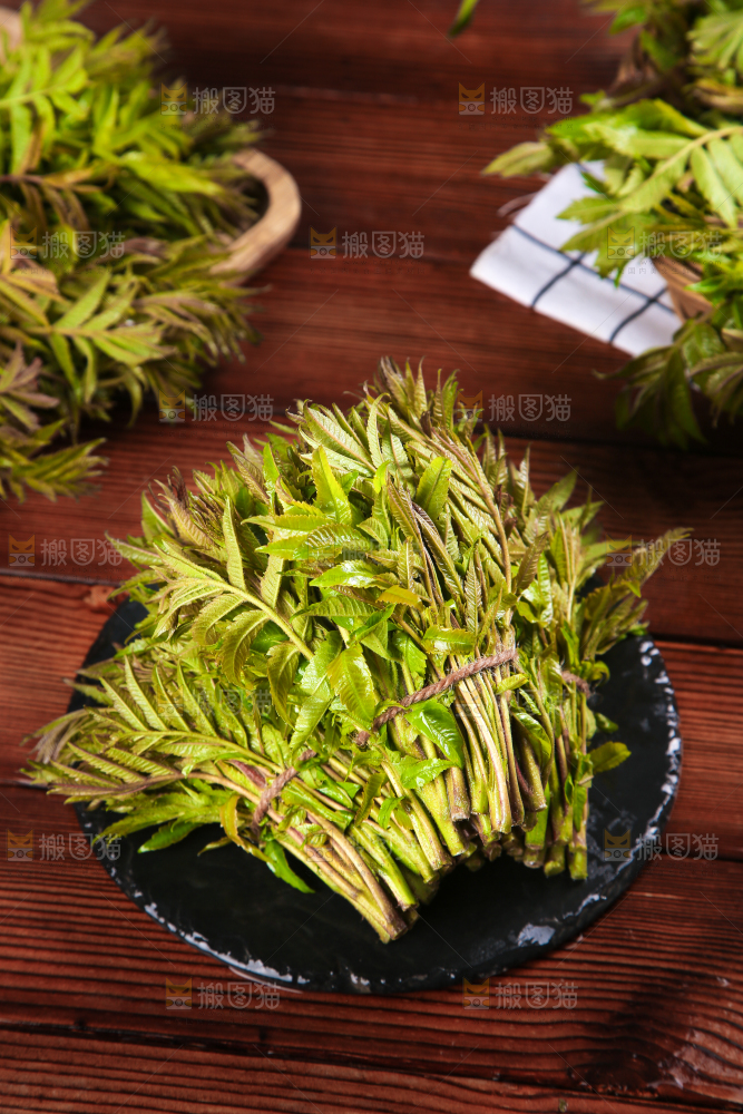 黑石板放着新鲜红香椿
