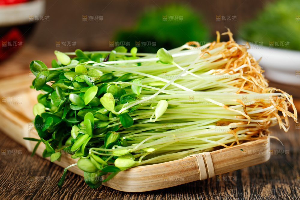 木底上放着一盘香椿苗芽