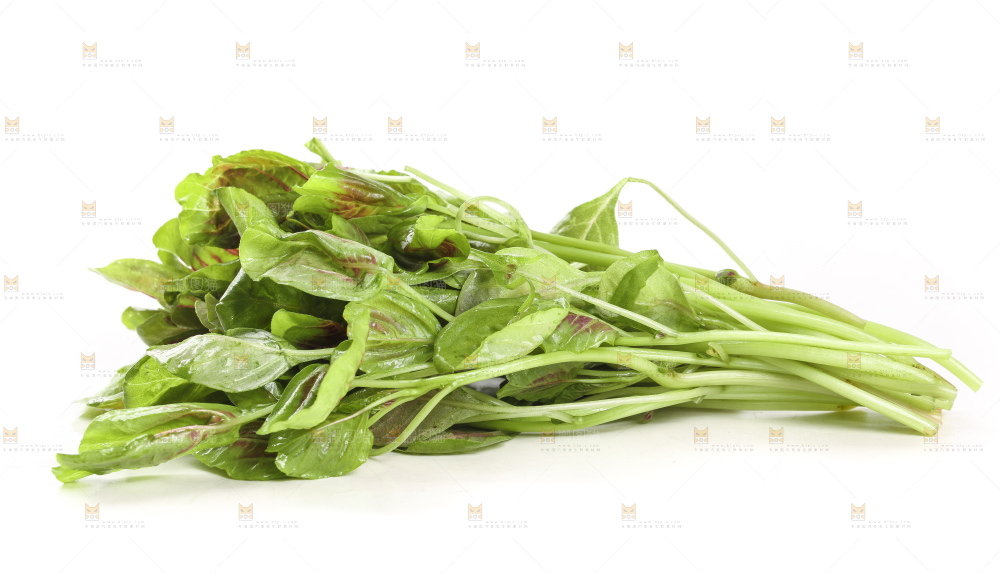 白底上的农家苋菜