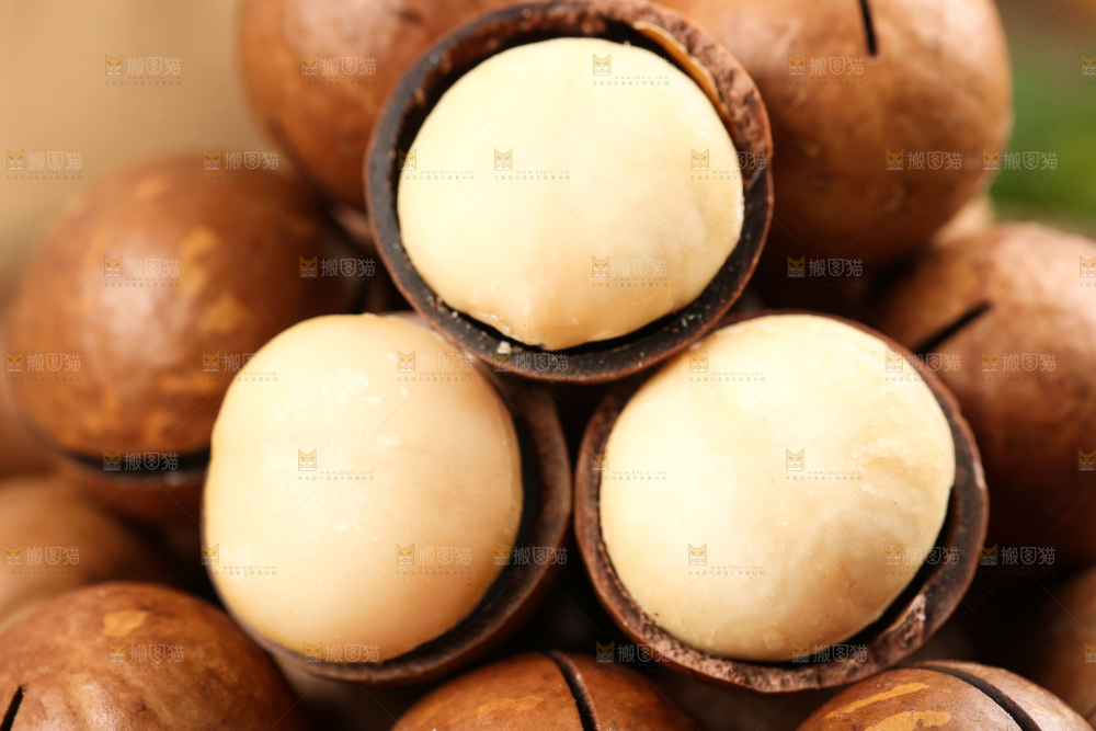 浅底上的夏威夷果