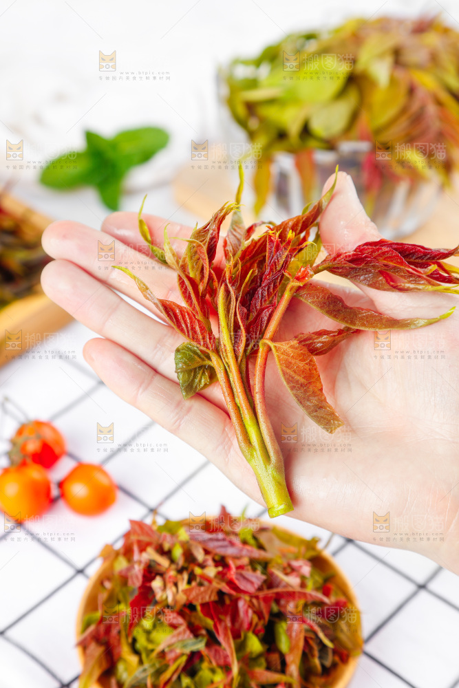 手拿沂蒙山香椿芽