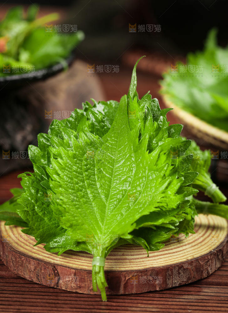 木板上的青紫苏叶