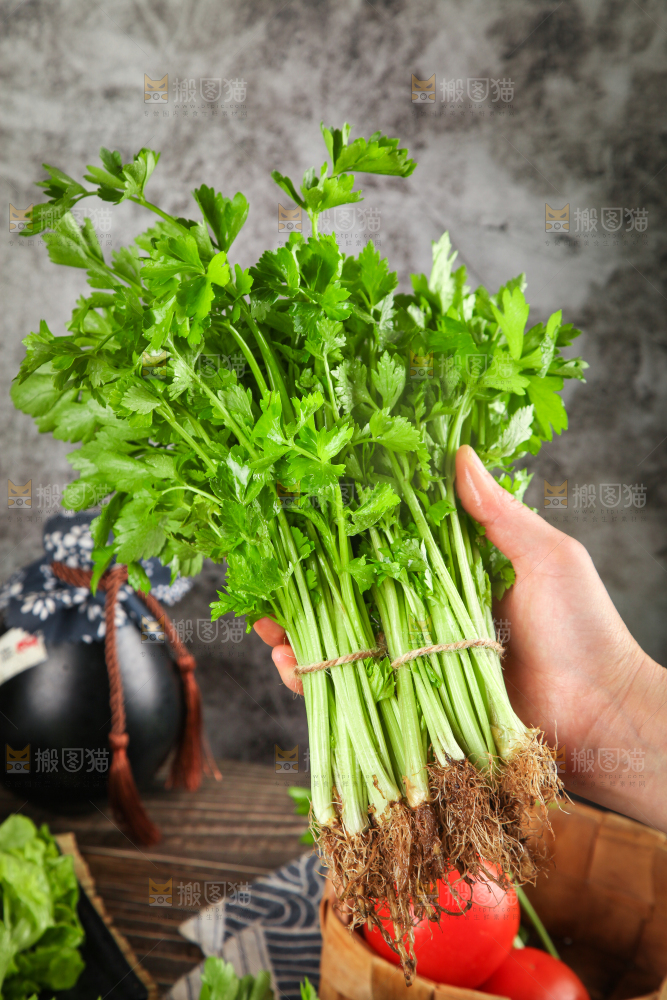 手拿新鲜芹菜
