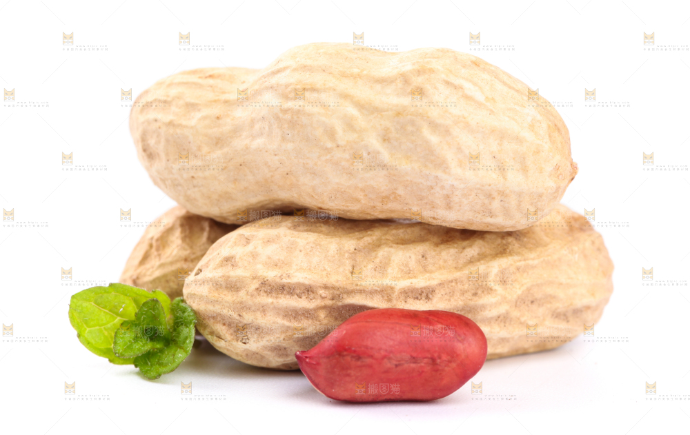 白底上的红衣花生