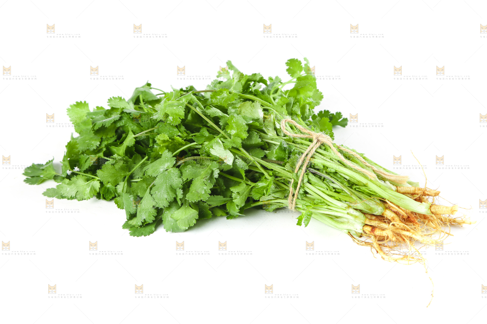 白底上放着一捆农家香菜