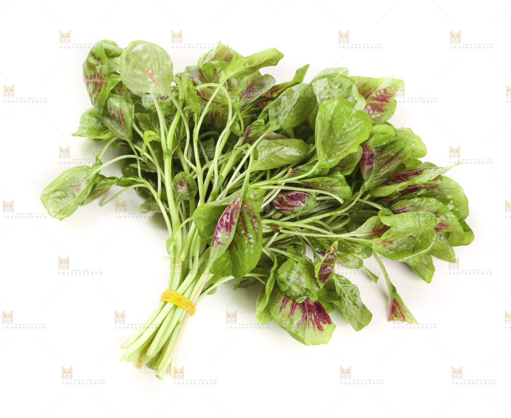 白底上的红苋菜