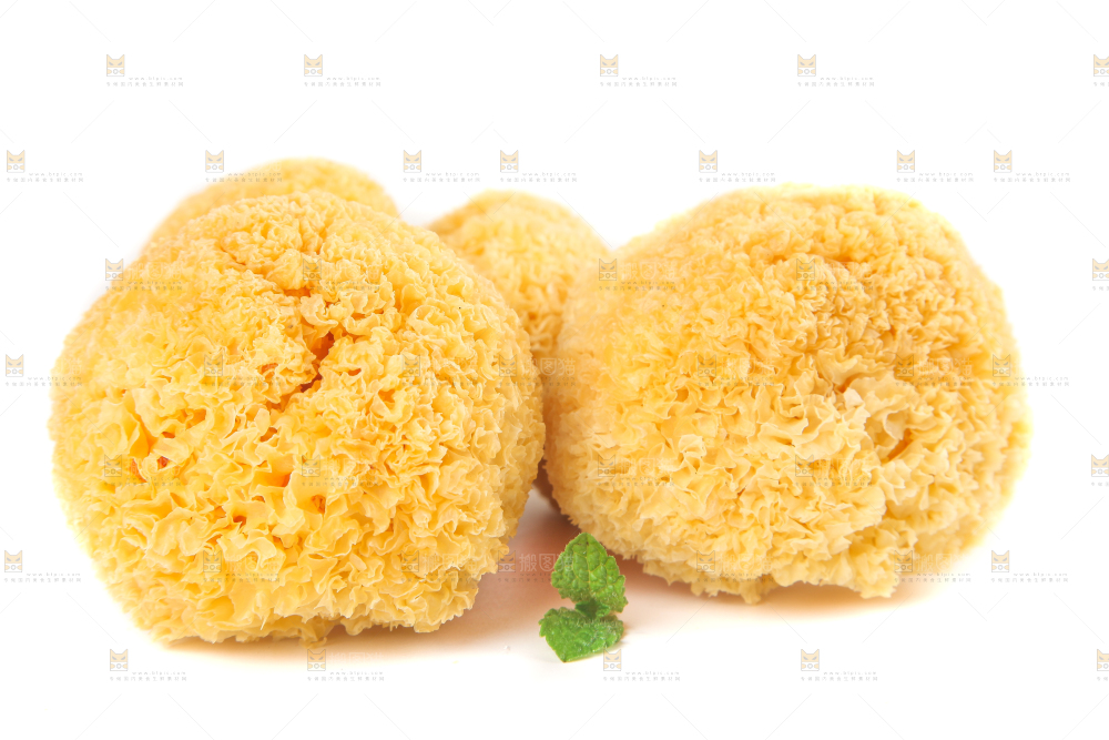一堆糯银耳堆在白底上