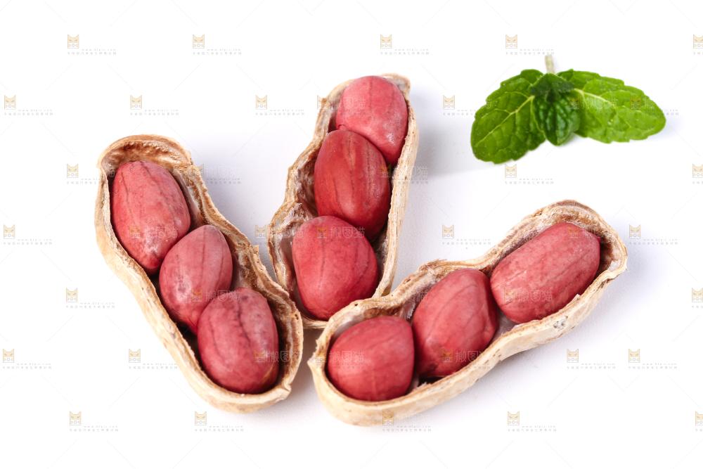 白底上的红衣花生