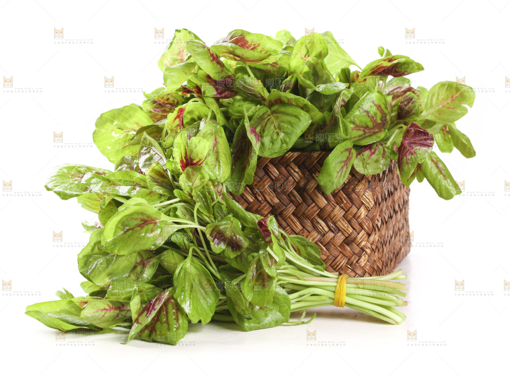 一筐红苋菜放在白底上