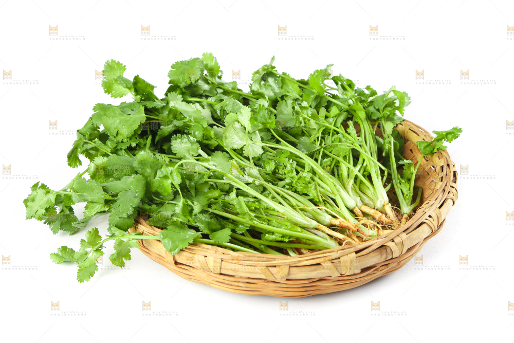 白底上放着一筐农家香菜