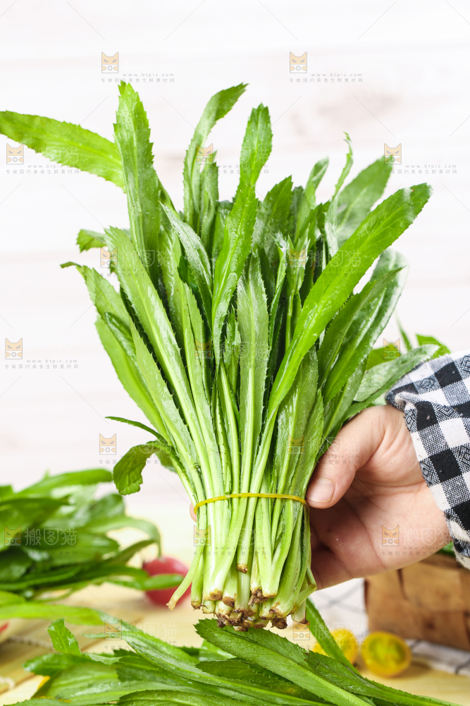 手拿云南大香菜
