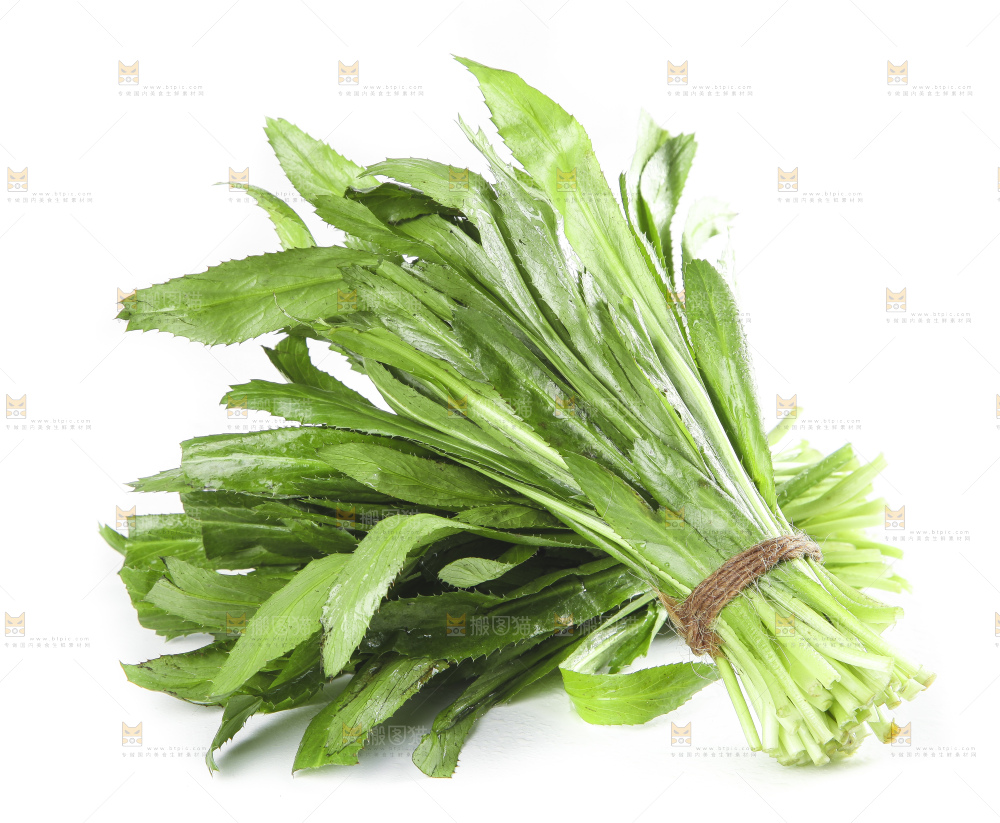 白底上的云南新鲜大香菜