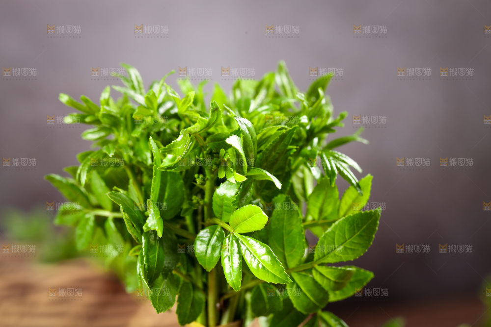 深底上的花椒芽