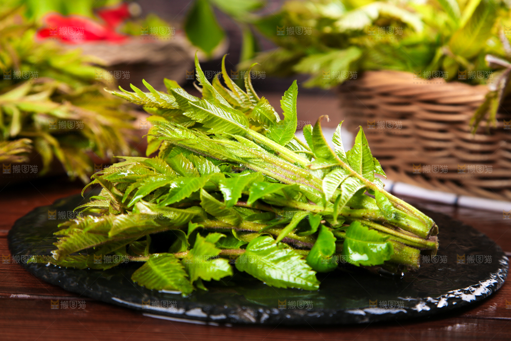 黑石板上的山东香椿芽