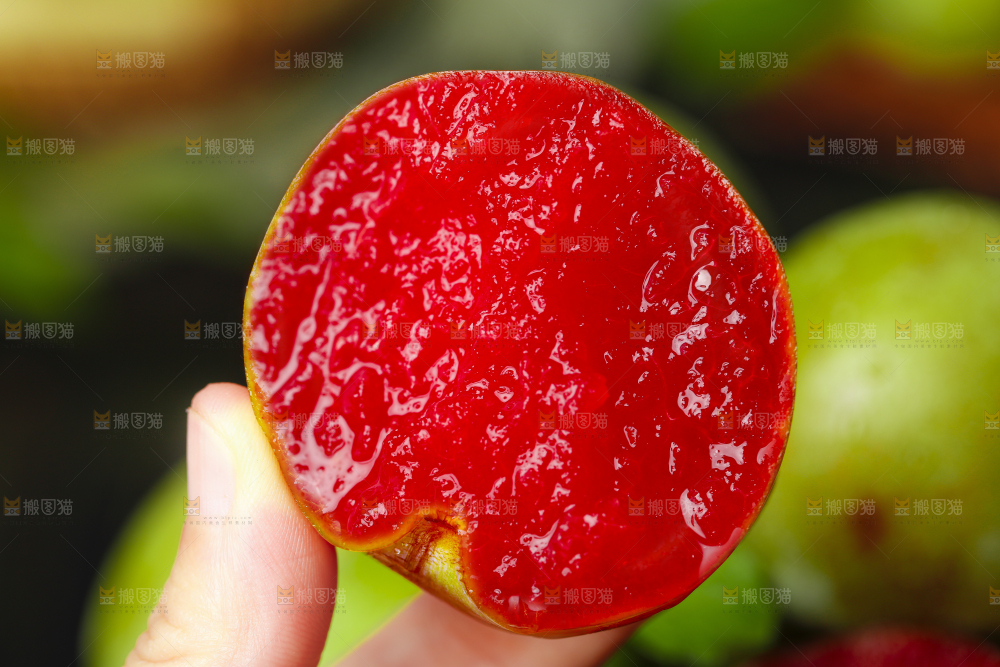 手里拿着广西红心李子
