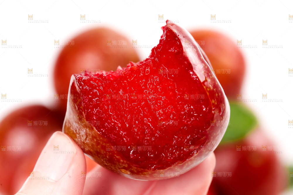 白底上的三华李