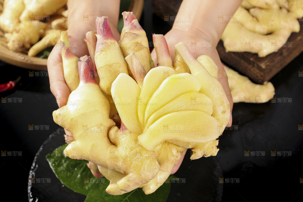 手里拿着红芽姜